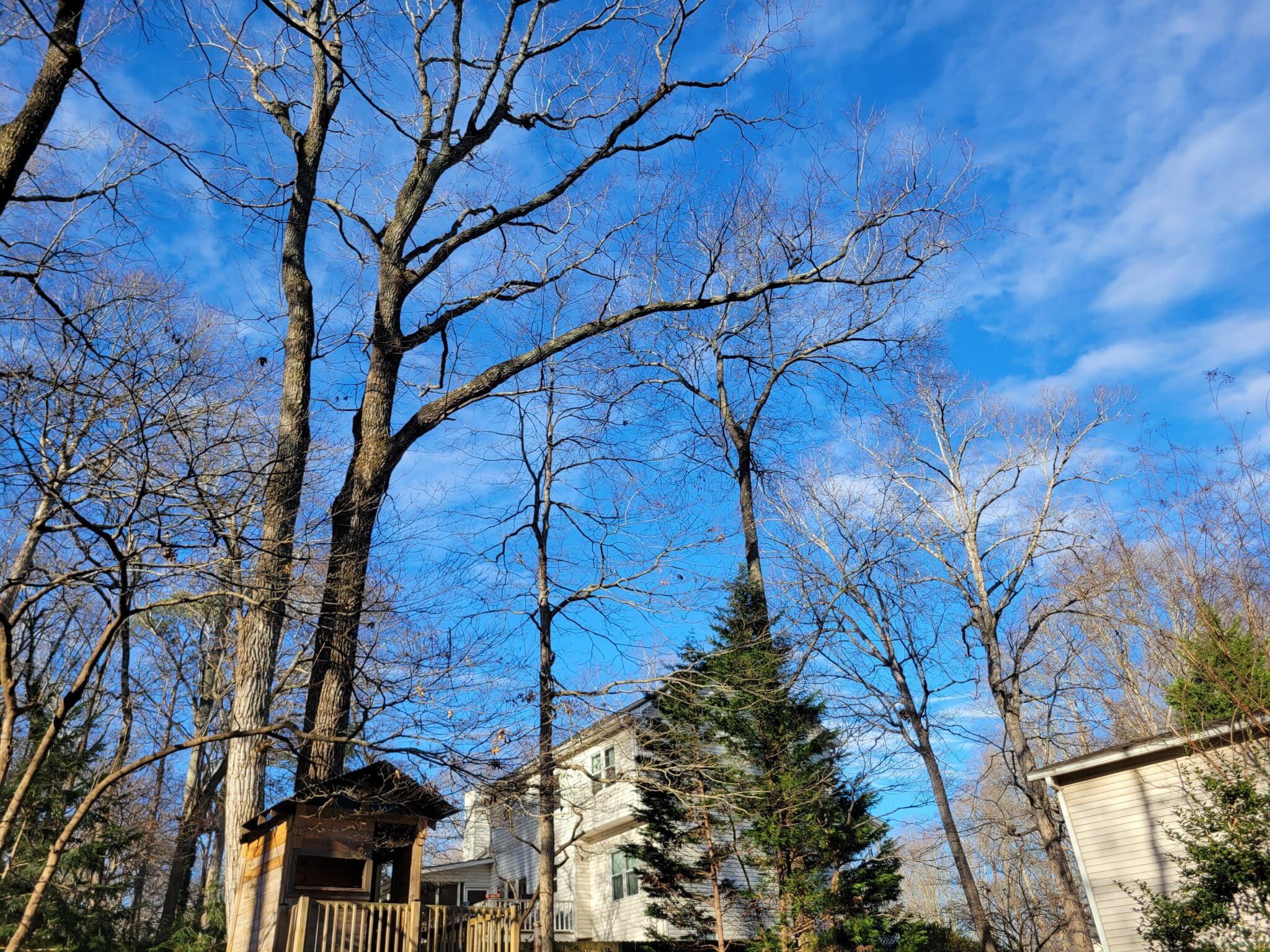 Storm Damage Cleanup: What Acworth Homeowners Should Do First